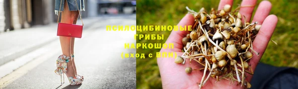 стаф Белоозёрский