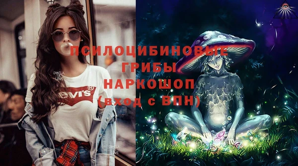 ALPHA PVP Белокуриха