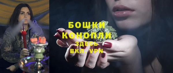 ALPHA PVP Белокуриха